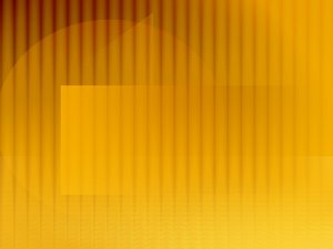 Net Promoter Score日常维护和优化技巧